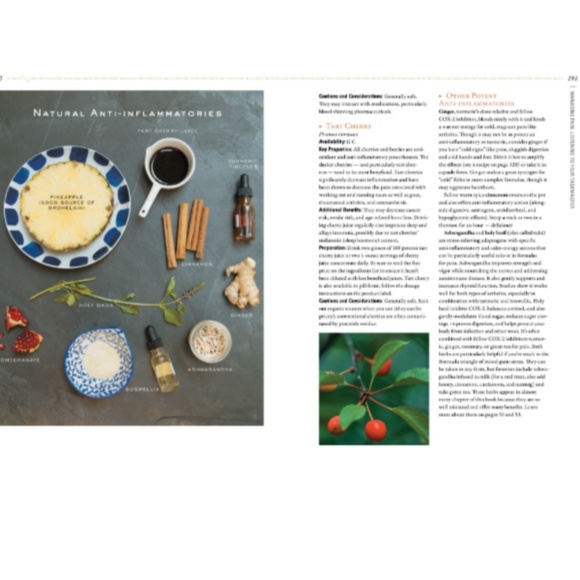 Body Into Balance - Picture 2 of 5